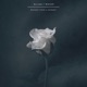 Scenes from a Memory Single