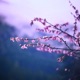 A Moment Unfolding Single