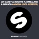 Amnesia feat Timbaland Brasco Radio Edit Single