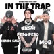 In The Trap Remix Single