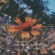 the day i find u feat Laeland Single