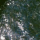 Flooded Single