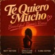 Te Quiero Mucho Beautiful Ilana s Remix Single