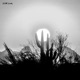 Lights Out Single