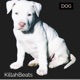 DOG Single