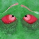 Bewilderment