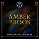 Tomorrowland 2023 Amber Broos at Mainstage Weekend 1 DJ Mix
