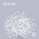 Fizz N Pizz