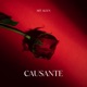 Causante Single