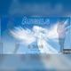 Angels Single