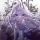 Love or Lie Single