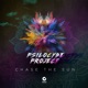 Chase the Sun Single