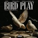 Bird Play Single