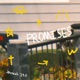 PROMISES Single