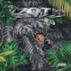 Xzotic