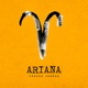Ariana Versão Pagode feat Dj Felipe Maia Single
