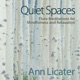 Quiet Spaces Flute Meditations for Mindfulness and Relaxation