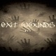 EXIT WOUNDS Single