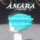 ÅMARA The Great Intelligence Single