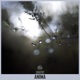 Anima Single