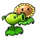 pvz Single