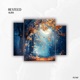 Aura Single