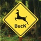Buck