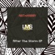 After the Storm Single