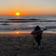 bali baby Single
