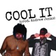 COOL IT feat DETRIX Single