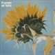 Flower of Life EP