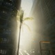 Sunsoaked Single