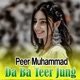Da Ba Teer Jung