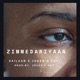 ZIMMEDARIYAAN Single