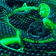 Ratas y Reptiles Single