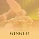 Ginger feat PJ Levas Single