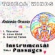 Instrumental Passages Vol 1 Single