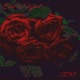 Ziitlos feat Rojhat Single