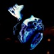 Shredding My Heart Single