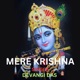 Mere Krishna Single