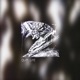 The Dark Sea EP