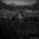 Into the Depths feat ARAGOTH Single