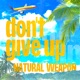 Don t Give Up Single