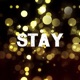 Stay feat Diz the Legend Samira Lashay Single