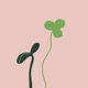 Growth Single