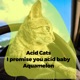 I Promise You Acid Baby Single
