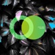 Paradise Single