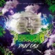 Paranoid Single