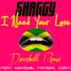 I Need Your Love Don Corleon Dancehall Remix feat Mohombi Faydee Costi Single