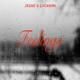 Feelings feat Lvckson Single
